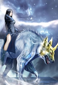 秘婚抓包