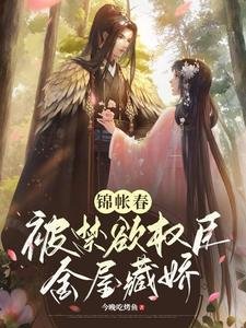 錦帳春：被禁慾權臣金屋藏嬌/權寵：禁慾權臣的心嬌嬌
